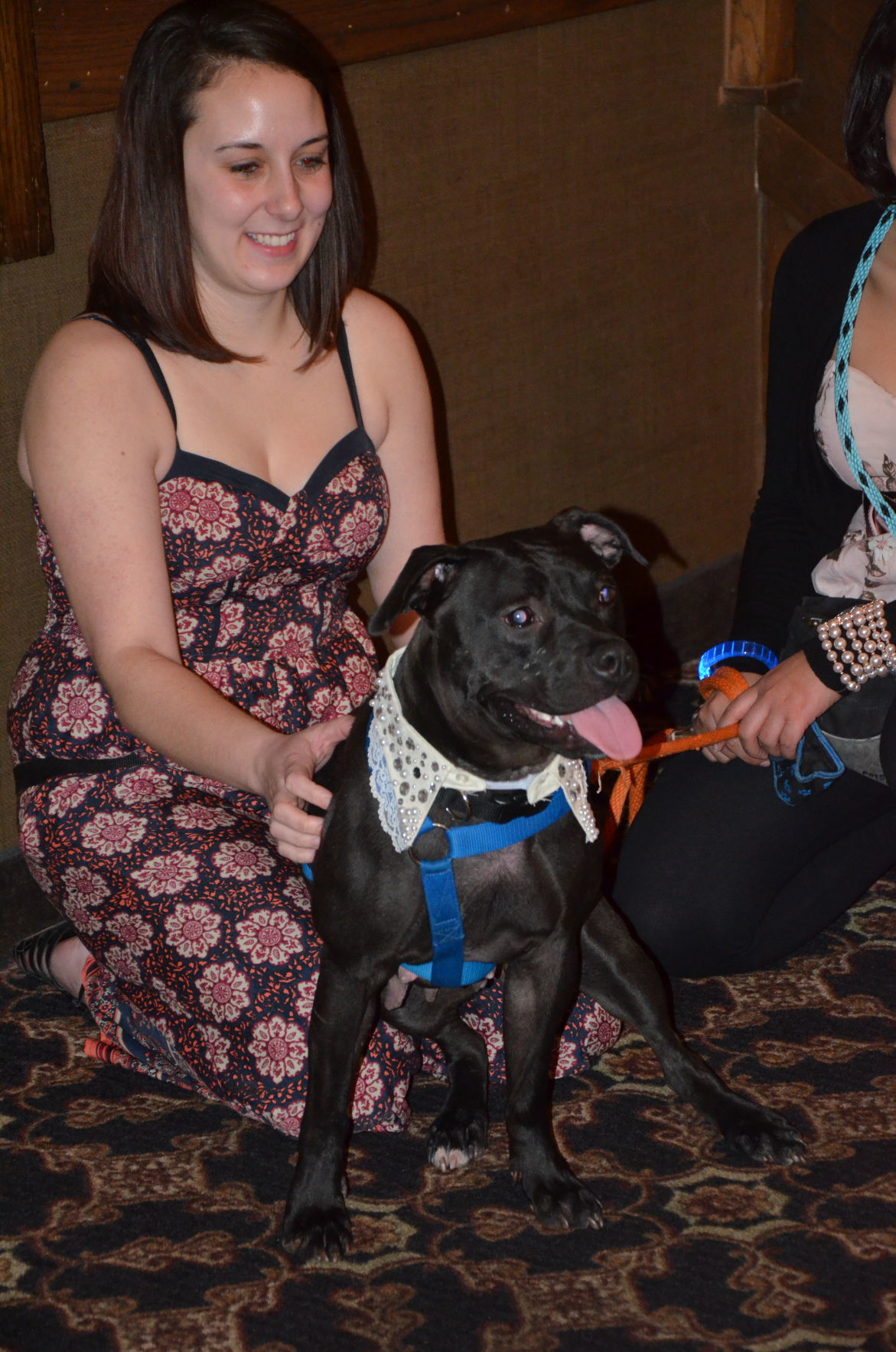 Humane Indiana Gala